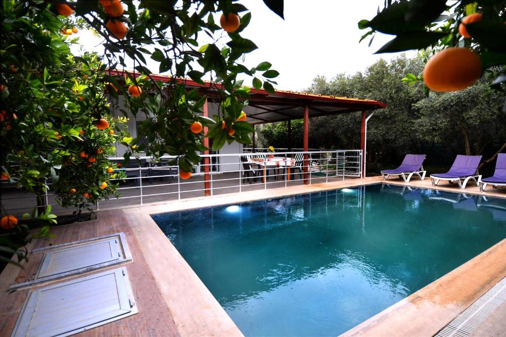 Avci Villa-Fethiye 3+1 in Garden with Private Pool, 10 minutes to the beach