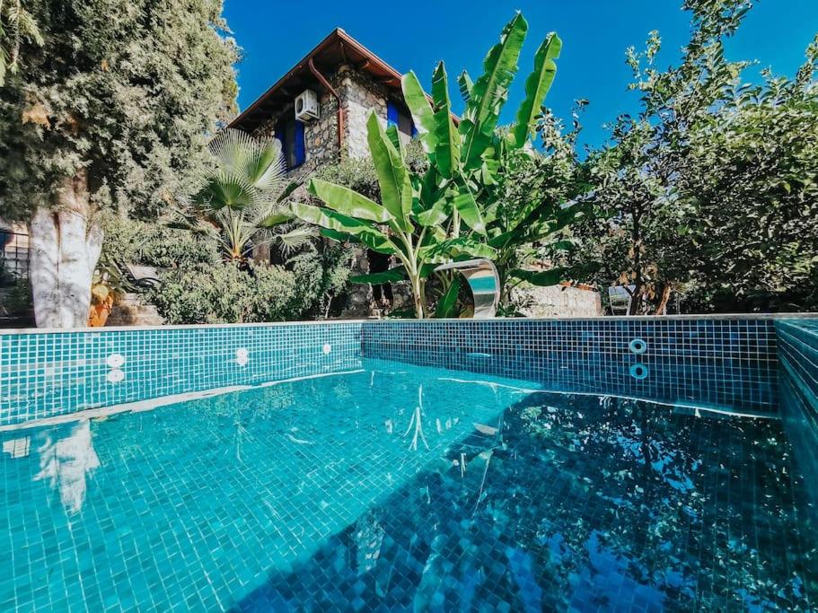 Benzersiz Jakuzili villa