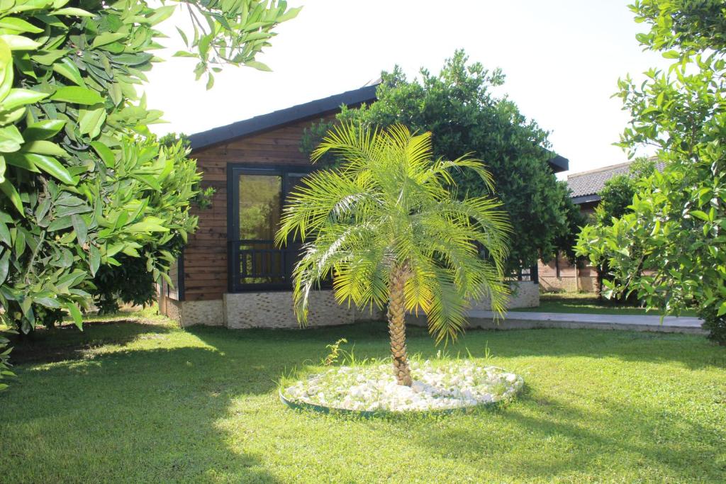 Çıralı Villa's