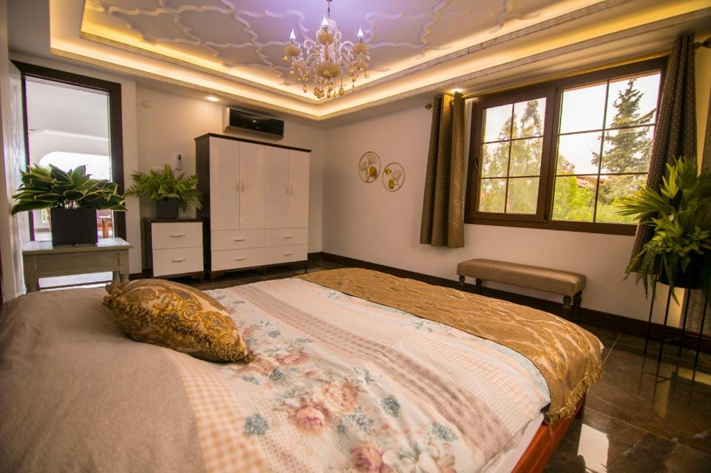 Deluxe villaları