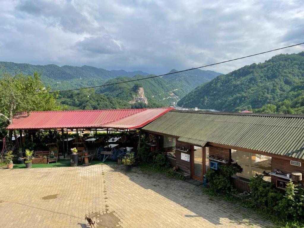 AYVADERE 102 Karadeniz kus cenneti dağ manzaralı