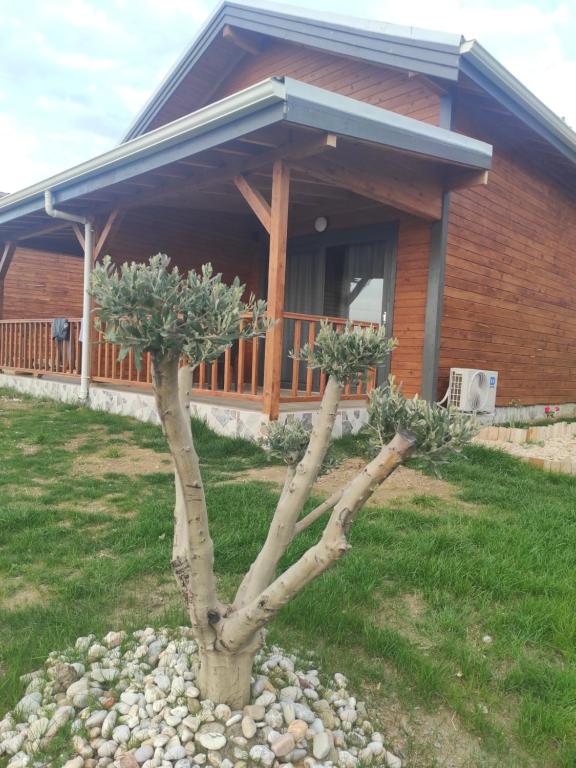 Koruwoodenhouse Alanya Gazipaşa