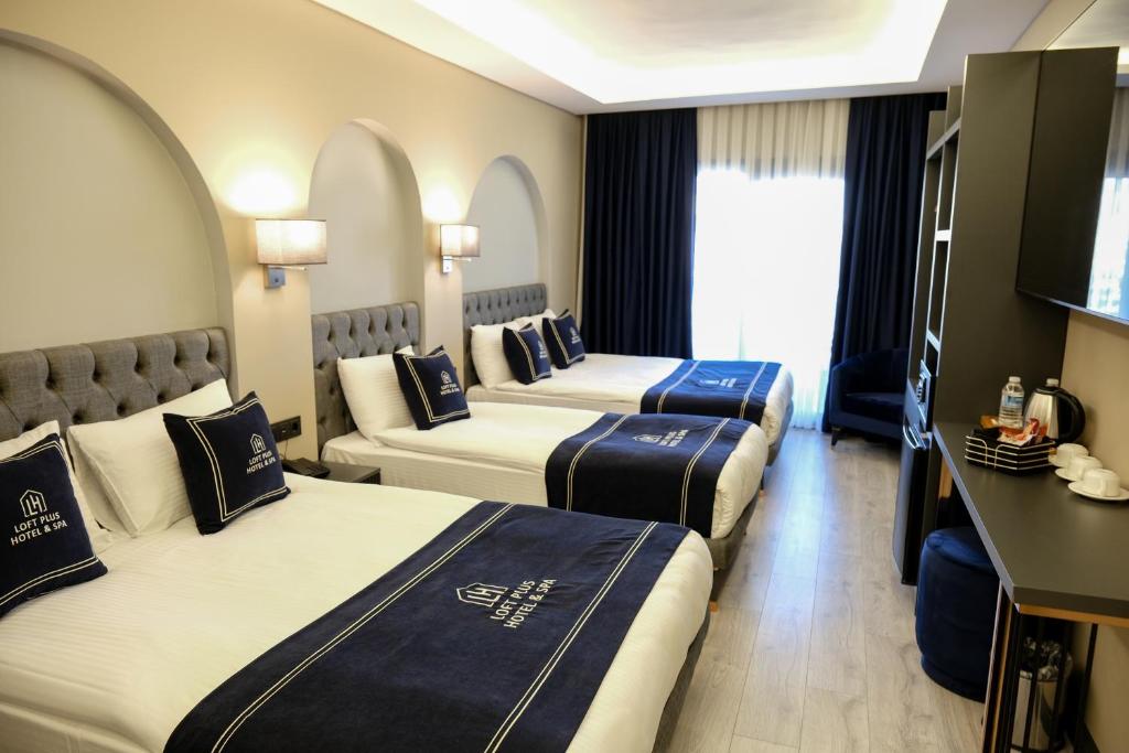 Plus Hotel & Private Transportation İstanbul Airport-By Loft