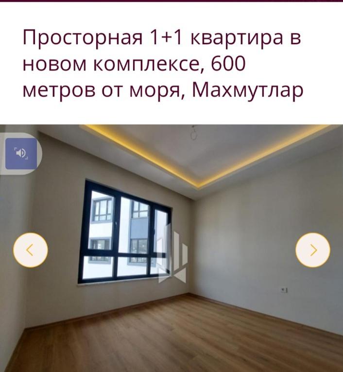 Лучшая квартира для отдыха и жилья возле моря