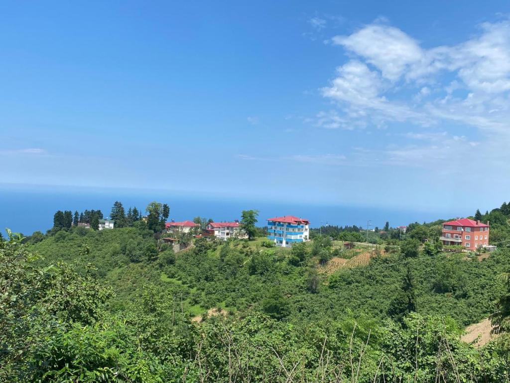 Mira Bungalov