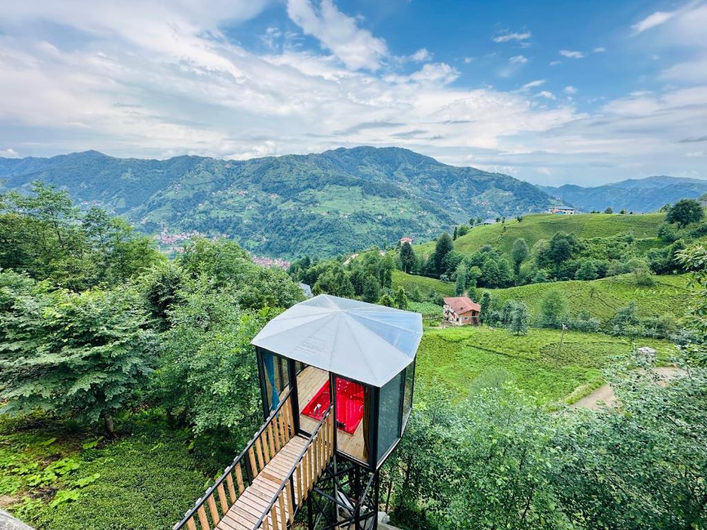 Organic village bungalow