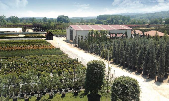 Serbesler Botanik, No 1 Comfortable Villa