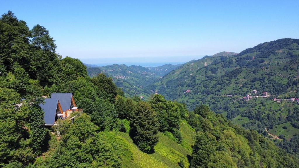 Tepelife Suıt Bungalow
